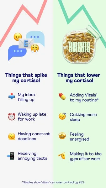 Yourheights advertisement