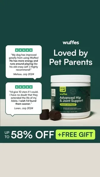 Wuffes advertisement