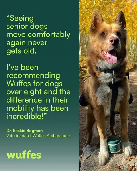 Wuffes advertisement