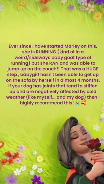 Wuffes advertisement