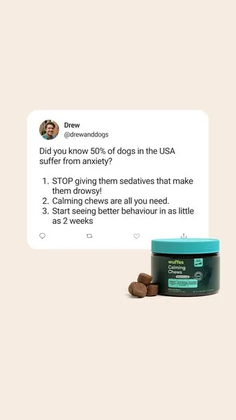 Wuffes advertisement