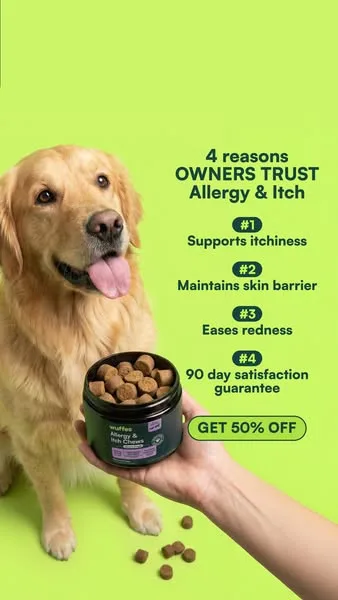 Wuffes advertisement