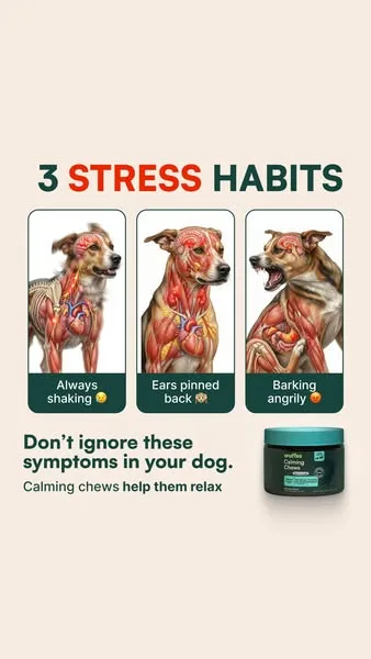 Wuffes advertisement