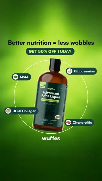 Wuffes advertisement
