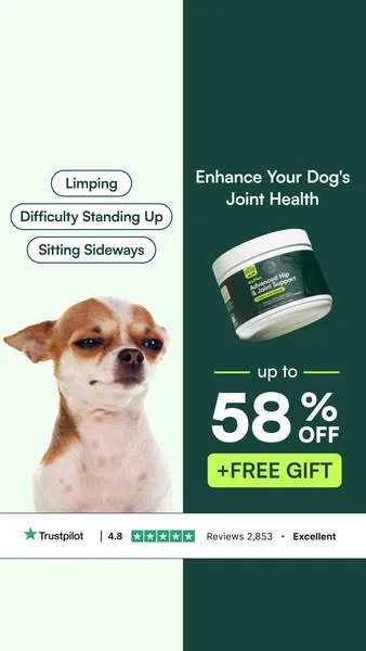 Wuffes advertisement