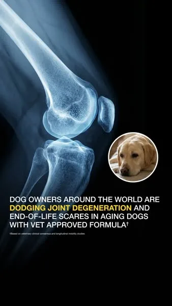 Wuffes advertisement
