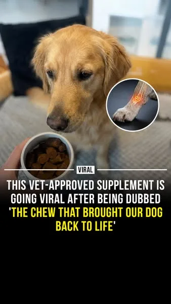 Wuffes advertisement