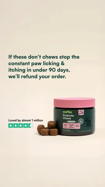 Wuffes advertisement
