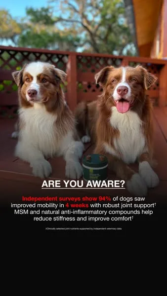 Wuffes advertisement