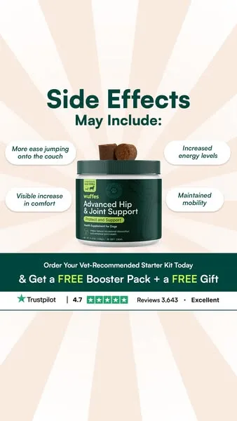 Wuffes advertisement