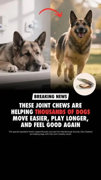 Wuffes advertisement