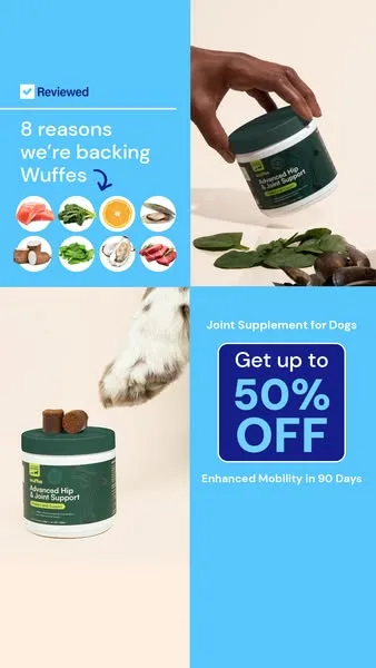 Wuffes advertisement