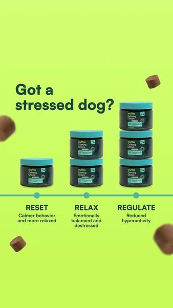 Wuffes advertisement