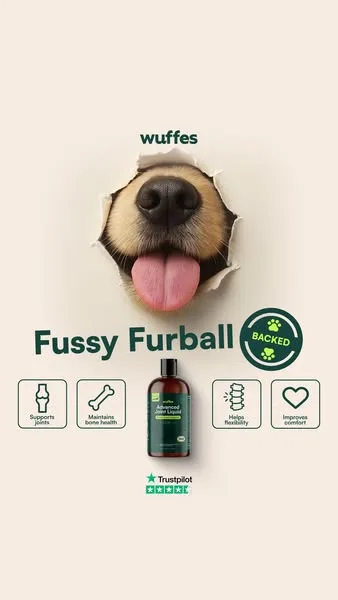 Wuffes advertisement