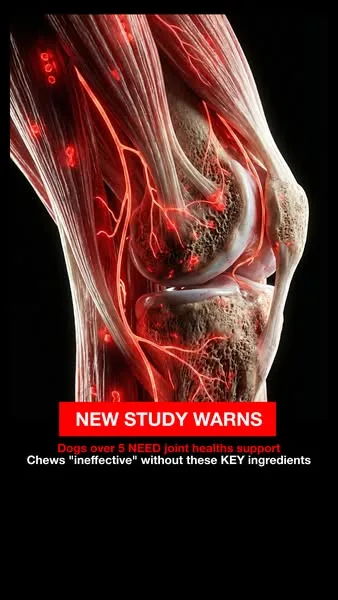 Wuffes advertisement