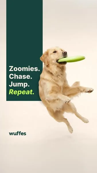 Wuffes advertisement
