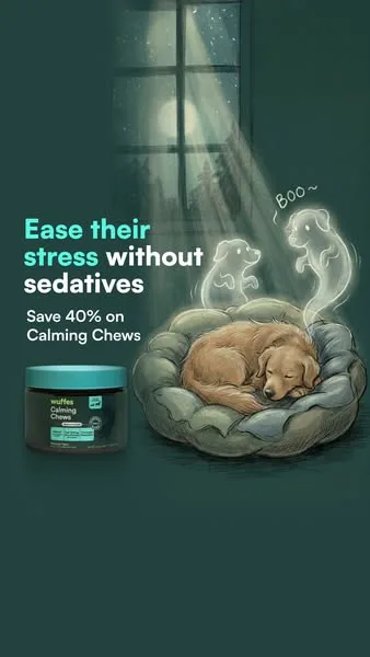 Wuffes advertisement